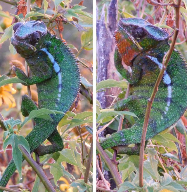 Before And After Photos (15 pics) Before And After Photos (15 pics)