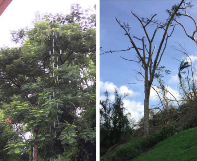 Before And After Photos (15 pics) Before And After Photos (15 pics)