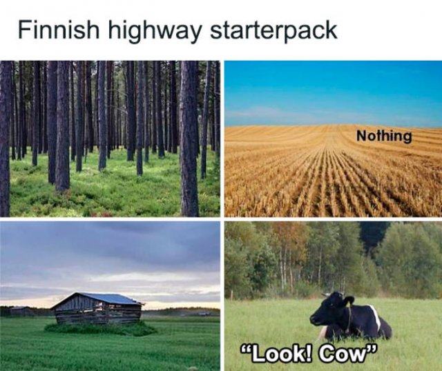 Finland Jokes (42 pics)