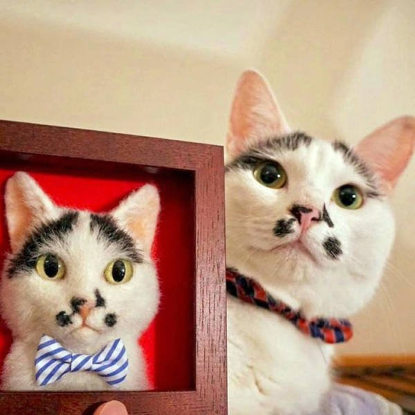 Talented People (20 pics)