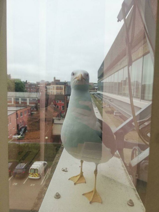 Bad Day At Work (42 pics)
