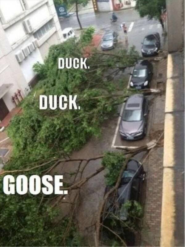 Cars Fails (28 pics)