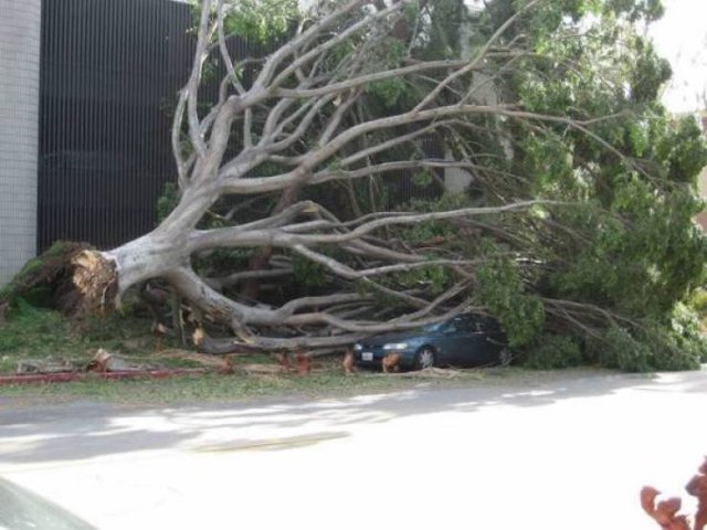 Cars Fails (28 pics)