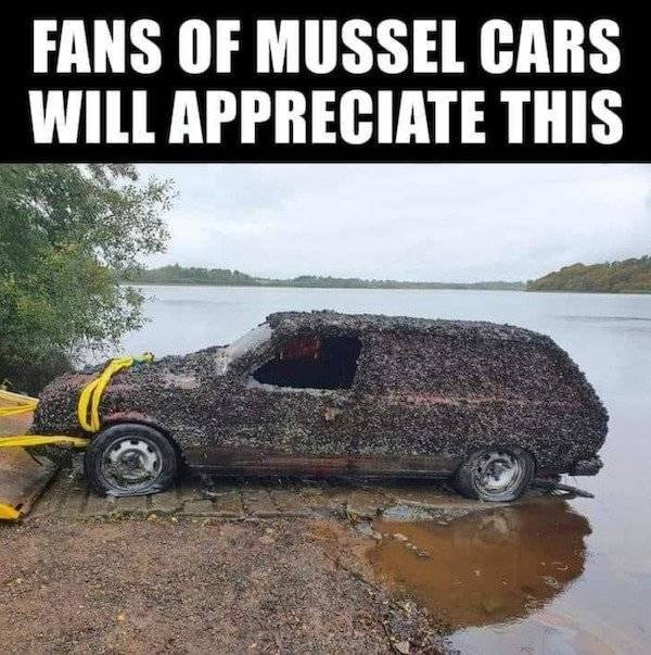 Cars Fails (28 pics)