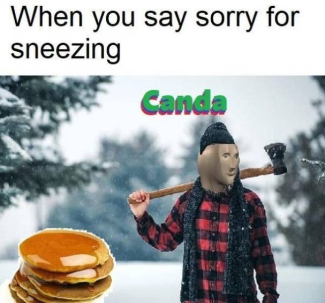 Jokes About Canada (41 pics)