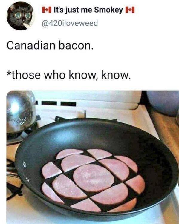 Jokes About Canada (41 pics)