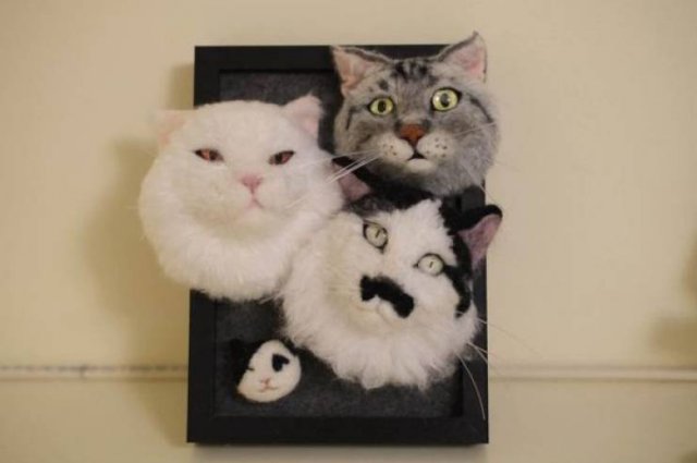 Strange Finds (35 pics)