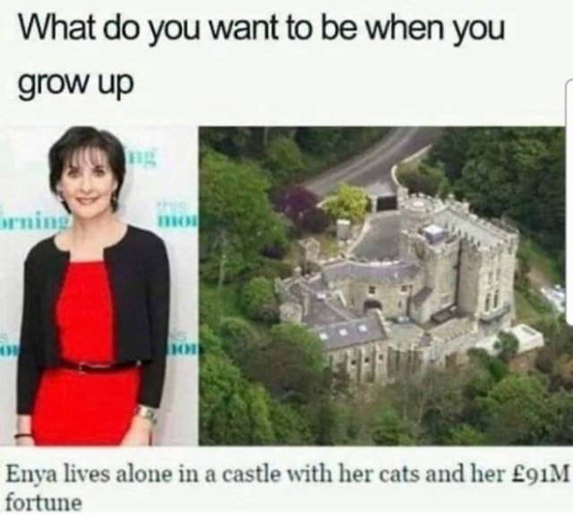 Memes For Introverts (43 pics)