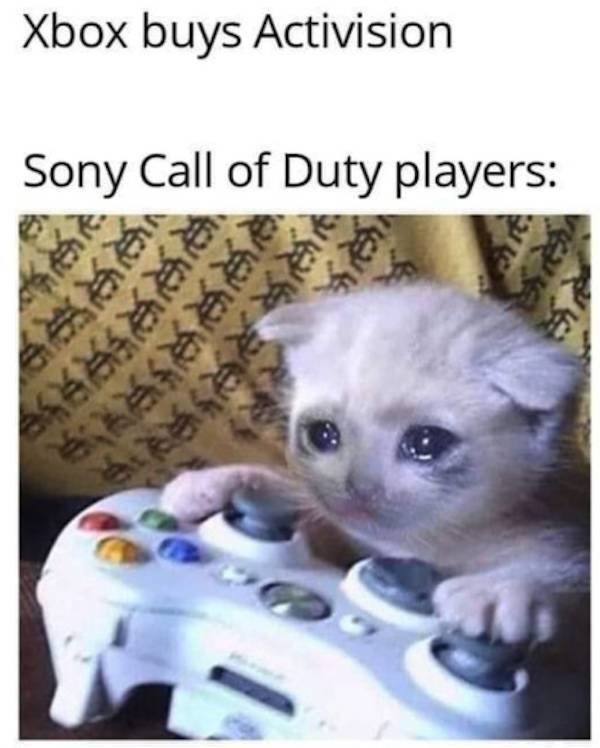 Memes For Gamers (58 pics)