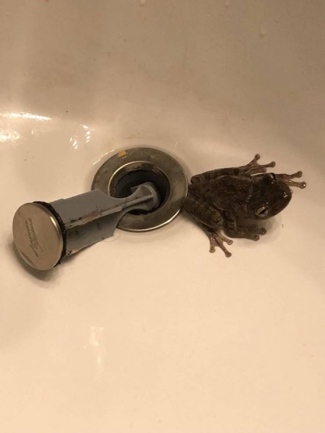 Interesting Finds (25 pics)
