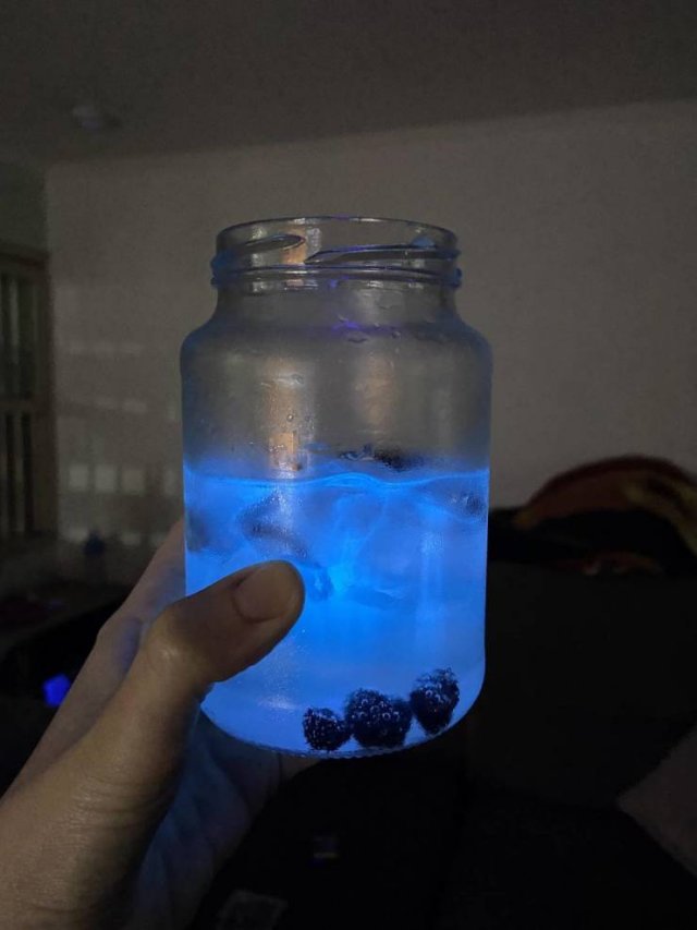Interesting Finds (22 pics)