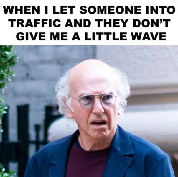 Memes With Larry David (27 pics)