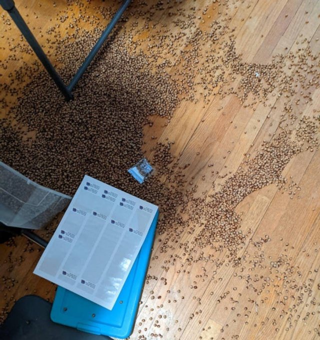 Bad Days At Work (51 pics) Bad Days At Work (51 pics)