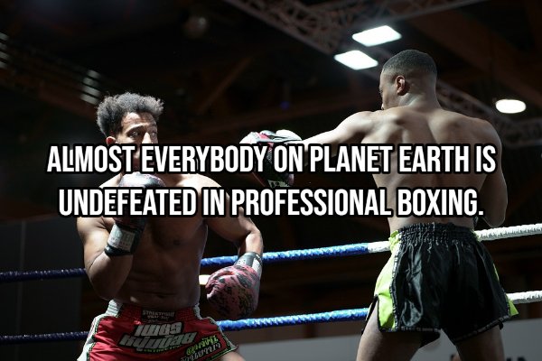 Interesting Thoughts (17 pics)