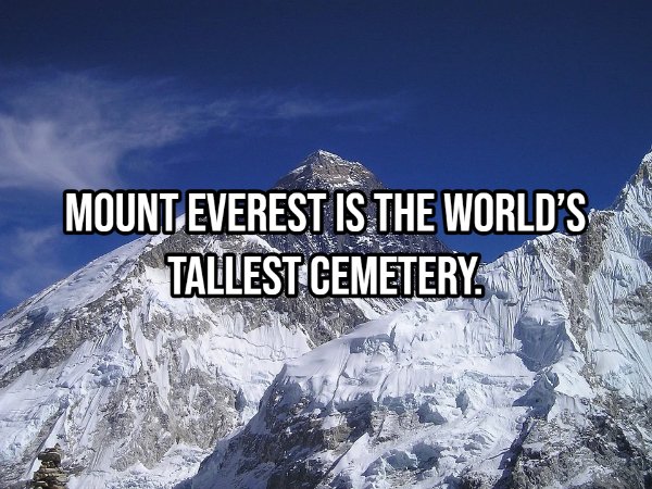 Interesting Thoughts (17 pics)