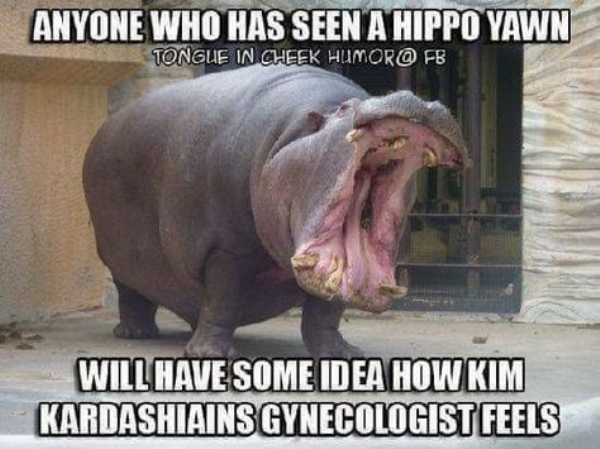 Adulthood Memes (28 pics)