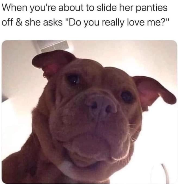 Adulthood Memes (28 pics)