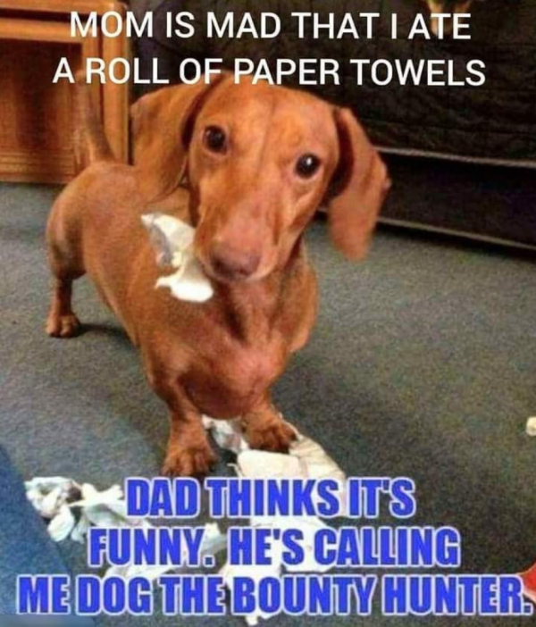 Adulthood Memes (28 pics)