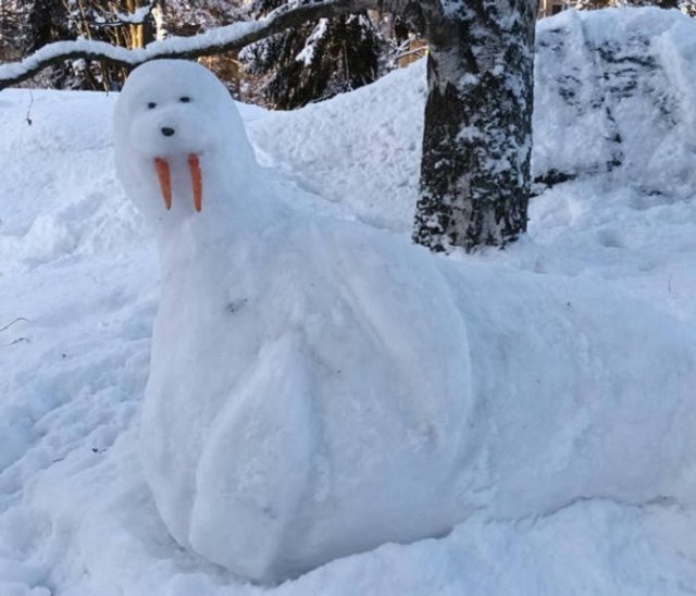 Funny Jokes (17 pics)
