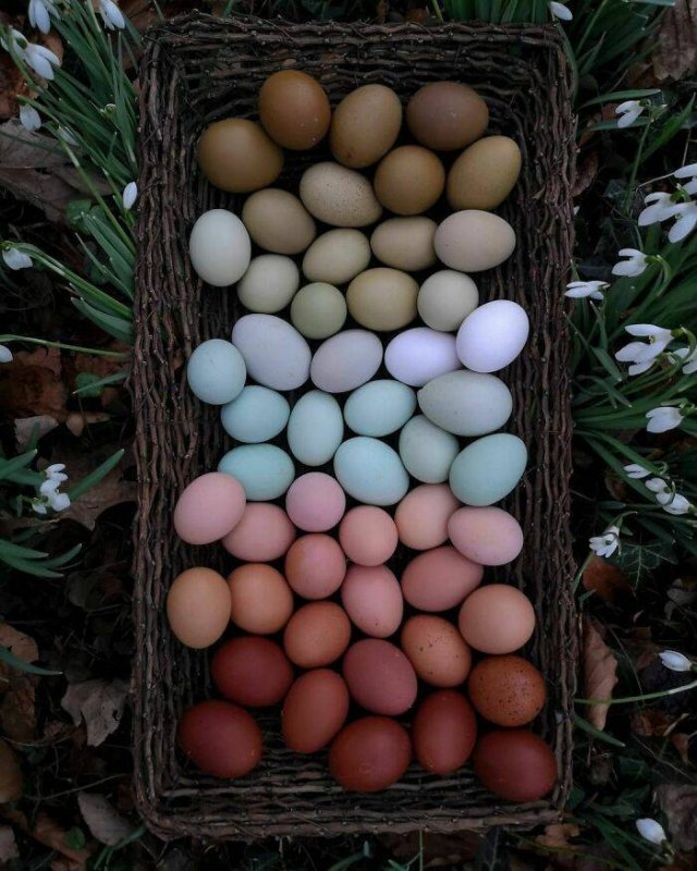 Pictures For Perfectionists (47 pics)