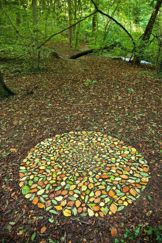 Pictures For Perfectionists (47 pics)
