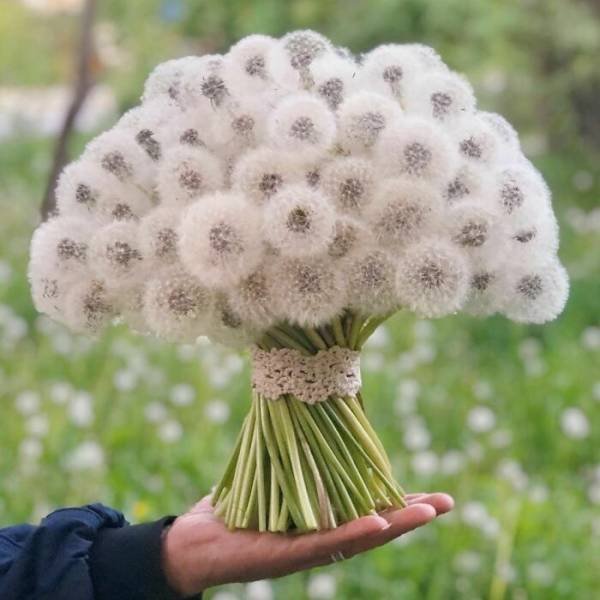 Pictures For Perfectionists (47 pics)