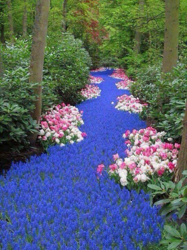 Pictures For Perfectionists (47 pics)