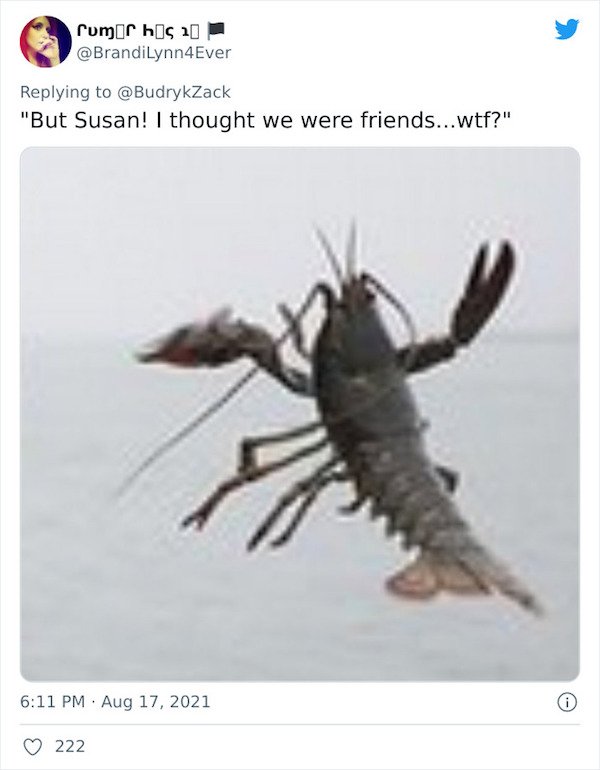 Memes Withs Grandma And Lobster (25 pics)