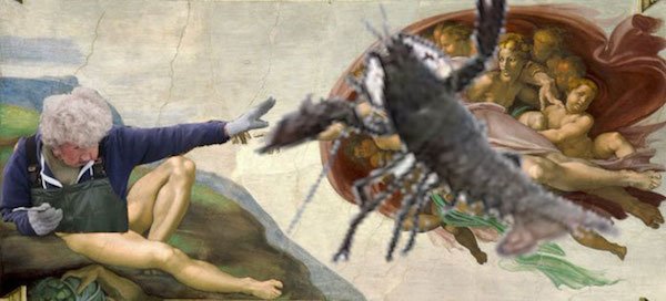 Memes Withs Grandma And Lobster (25 pics)