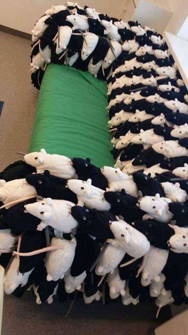 Weird Situations (48 pics)