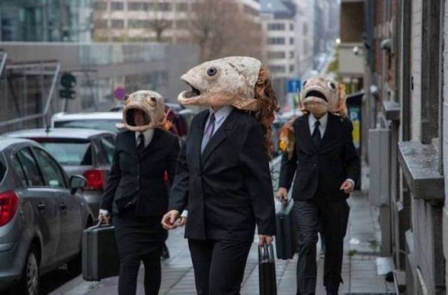 Weird Situations (48 pics)