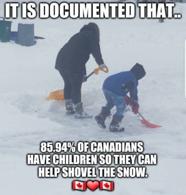 Jokes About Canada (33 pics)