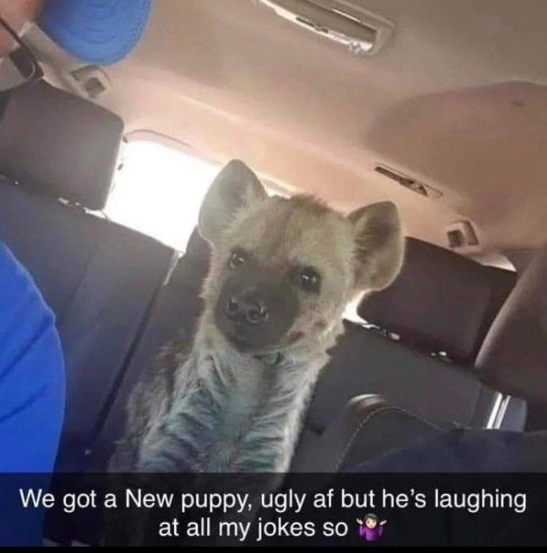 Wait A Minute (25 pics)