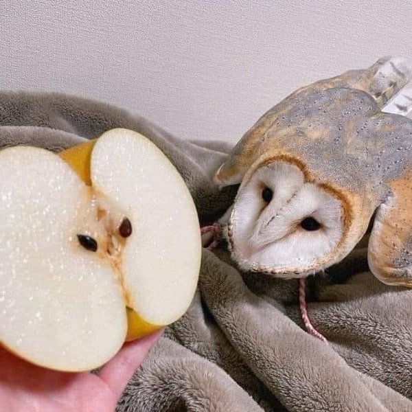 Wait A Minute (25 pics)