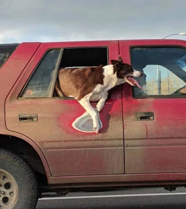 Time Change Everything (19 pics) Time Change Everything (19 pics)
