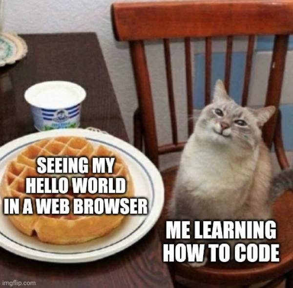 Random Memes (34 pics)