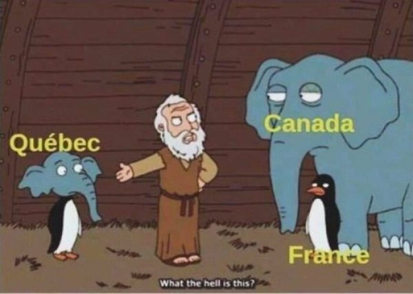 Canadian Memes (28 pics)