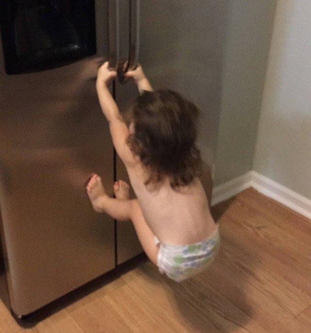 Funny Families (19 pics)