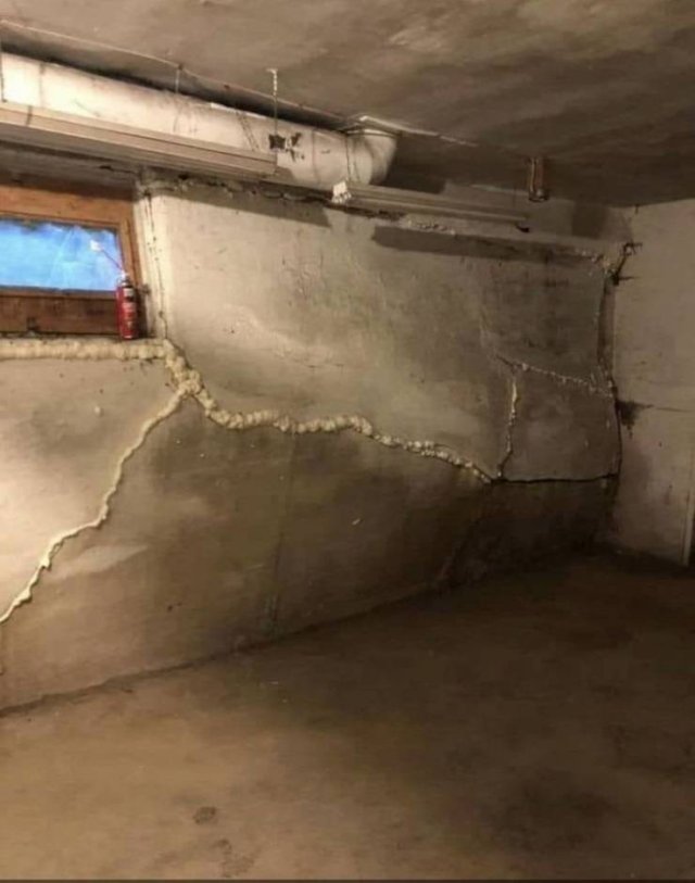 Bad Surprises In Houses (14 pics)