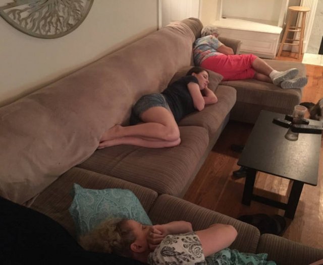 Funny Families (19 pics)