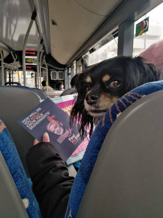 Look Twice (20 pics)