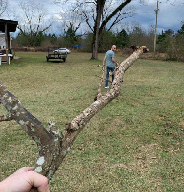 Look Twice (20 pics)