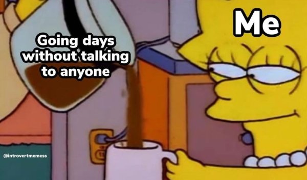 Memes From Introverts (29 pics)