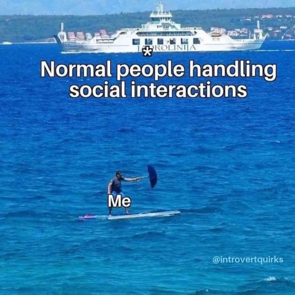 Memes From Introverts (29 pics)