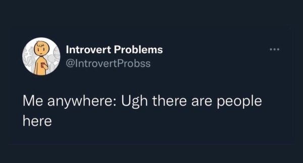 Memes From Introverts (29 pics)