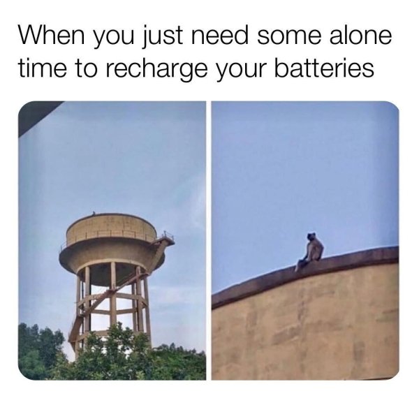 Memes From Introverts (29 pics)