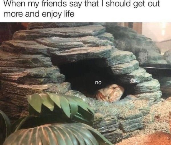 Memes From Introverts (29 pics)