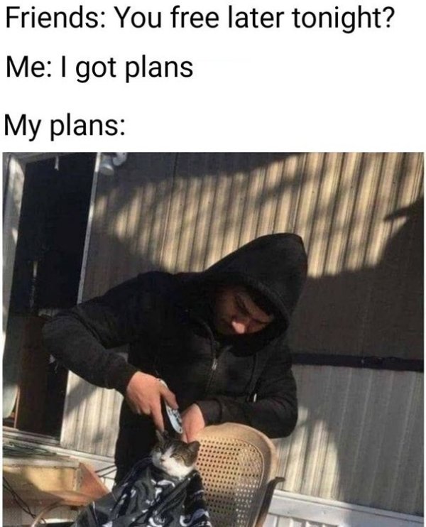 Memes From Introverts (29 pics)