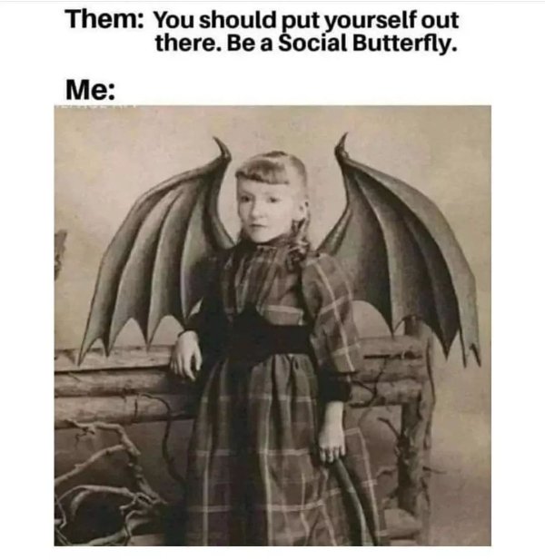 Memes From Introverts (29 pics)