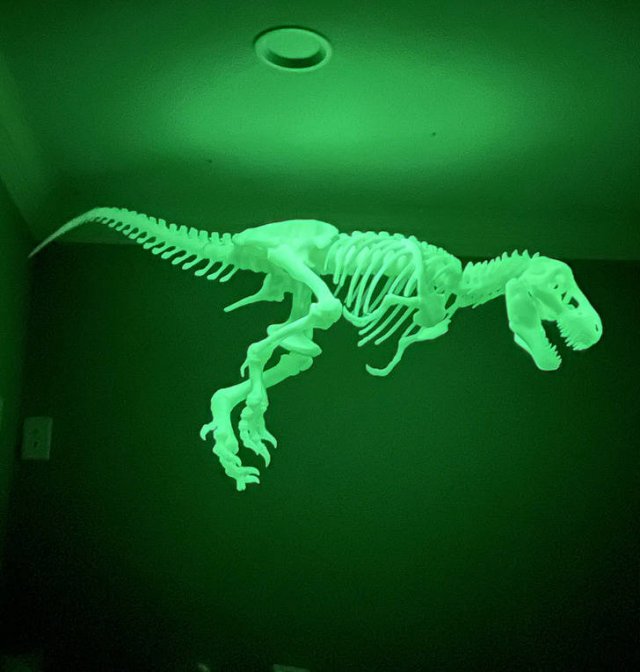 Amazing Creativity (20 pics) Amazing Creativity (20 pics)